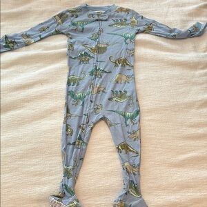 Carter's Blue and Green Dinosaur Footies